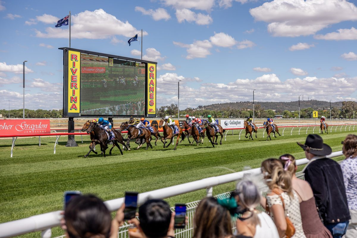 people watching horses race at a track