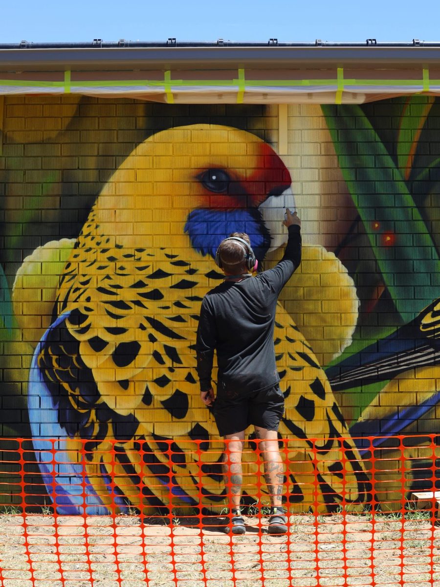 Guy painting mural 