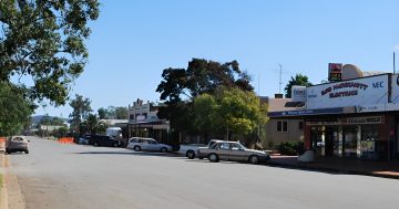 'Unblemished record’: Riverina woman wins back firearms licence after police confiscated her guns