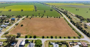 Acre blocks hit the market in Marrar subdivision release