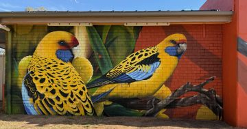 Anonymous donor funds spectacular mural unveiled at Darlington Point
