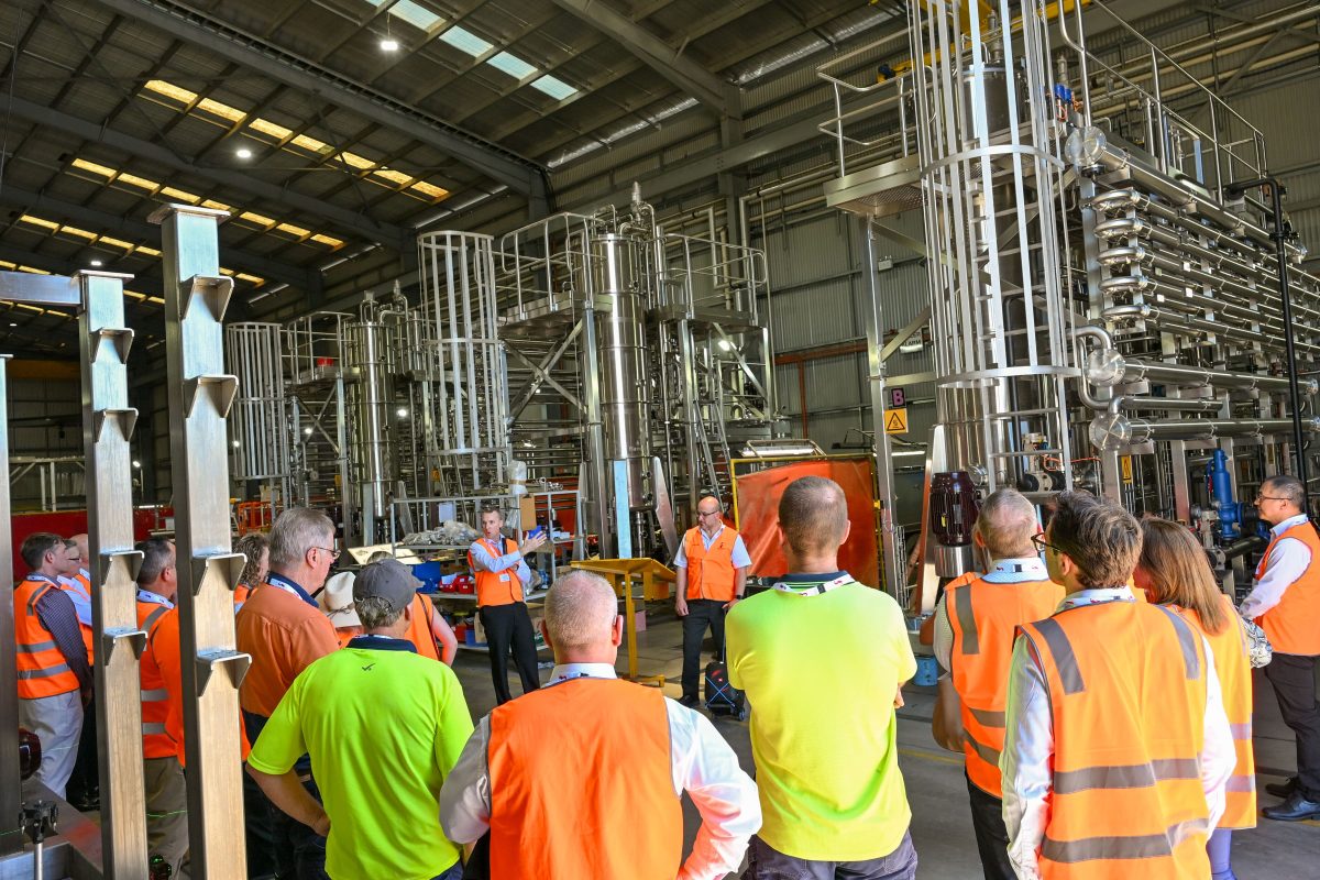 group gathers in hi-vis