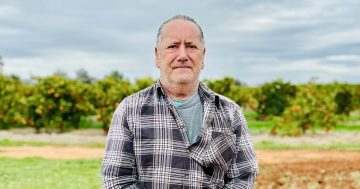 Flannel or formal? Griffith Council to debate dress code and other new meeting rules