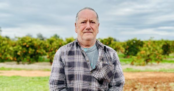 Flannel or formal? Griffith Council to debate dress code and other new meeting rules