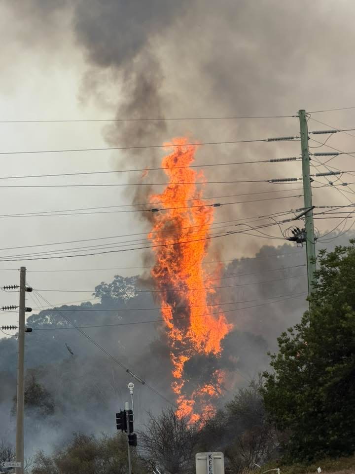 A bushfire on Lake Albert Road torches bushland, causes evacuations and road closures. Picture: Paul Croker