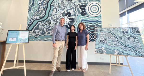 Murrumbidgee Irrigation erects Indigenous artwork symbolising its 'honesty, openness and improvement'