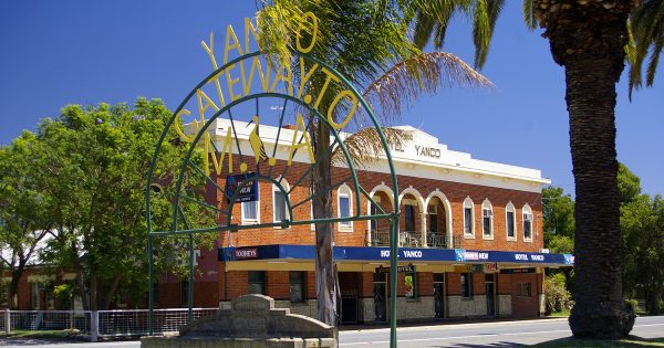 Police catch disqualified ute driver who allegedly jumped into canal near Yanco