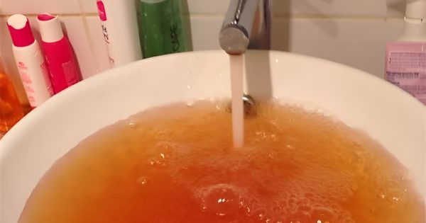 'Minister, would you drink that?': Fang slams Jackson over Narrandera tap water