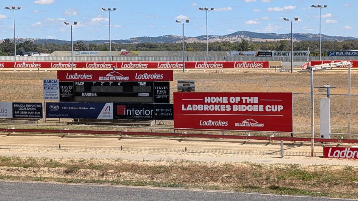 Greyhound racing has been a sport in Wagga for 98 years.