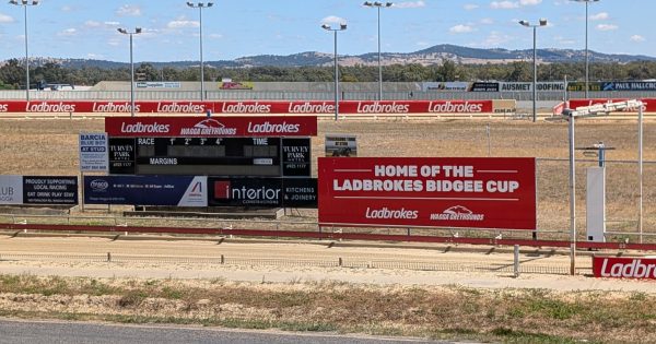 Wagga Greyhound Racing Club to shut by 2027