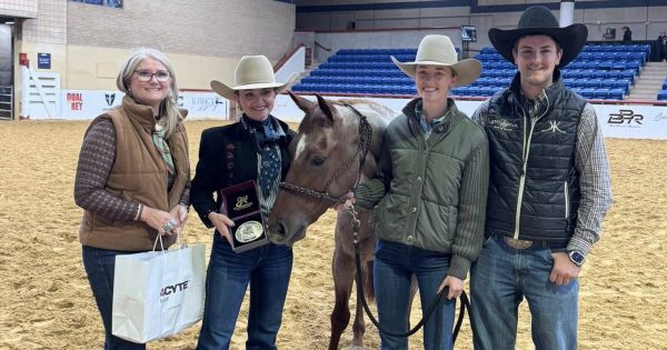 From Young to Texas, Nick Smith stakes claim in cutting heartland