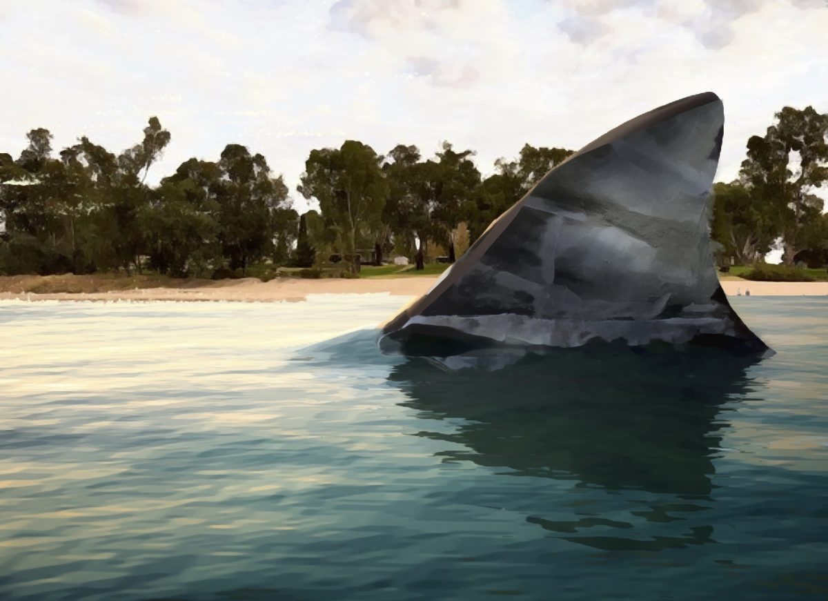 What are the odds of encountering a Murrumbidgee Mud Shark this summer? 