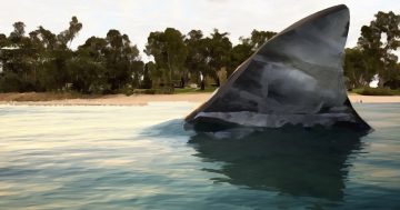 Riverina Rewind: Should we beware of 'Murrumbidgee Mud Sharks' this summer?