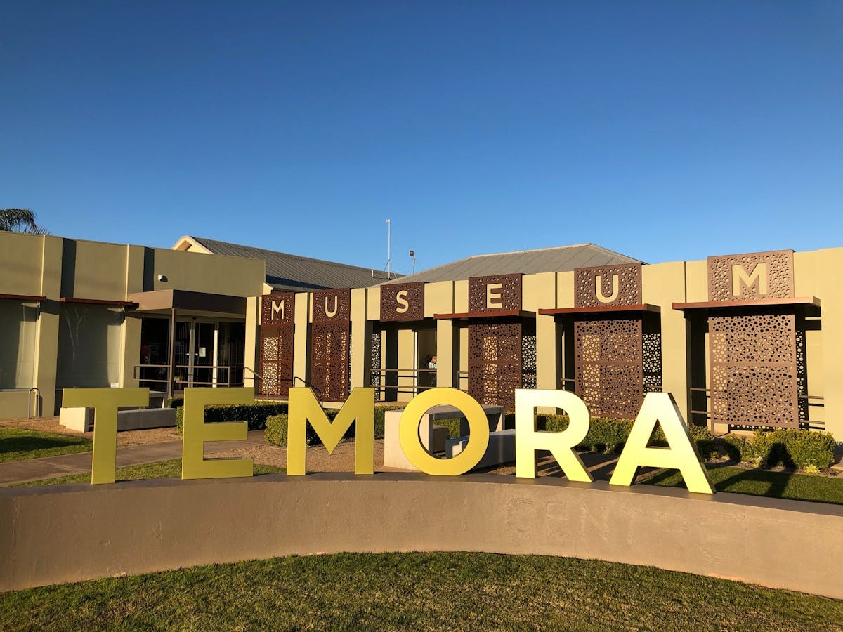 Brush with Art - Temora