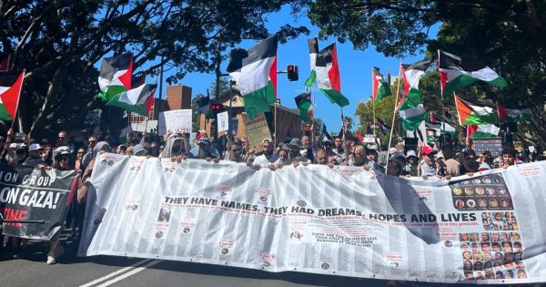 NSW inquiry on banning protest slogans inundated with critical submissions