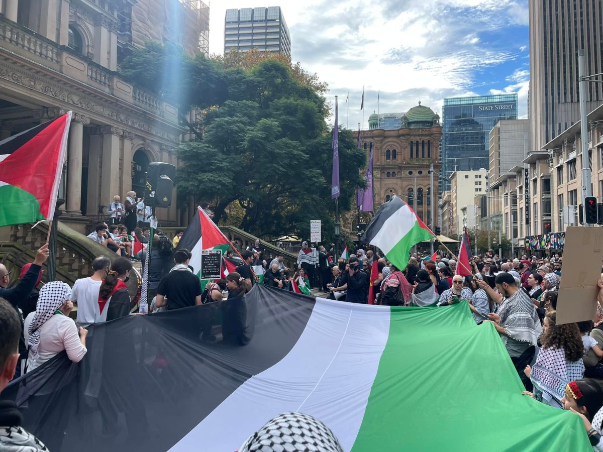 palestine flag at a protest 