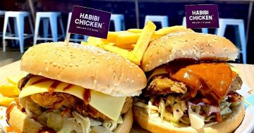 'The hardest decision we've ever made': Popular Wagga chicken store closes its doors