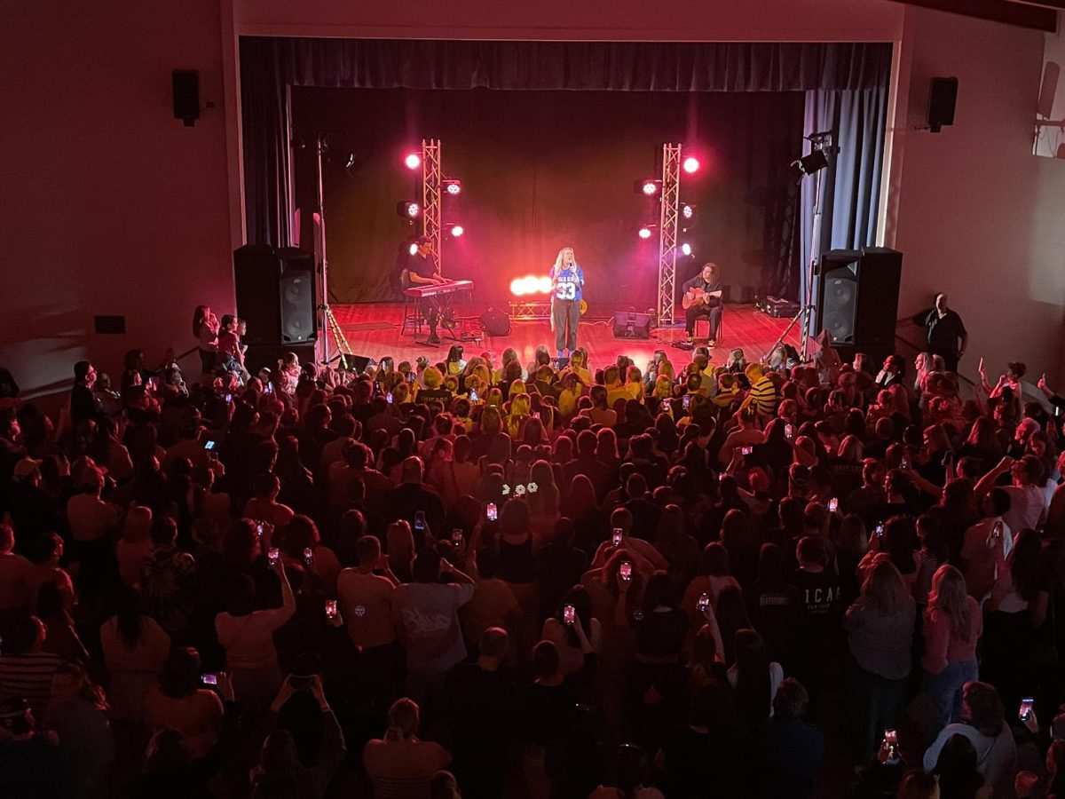 female singer in concert