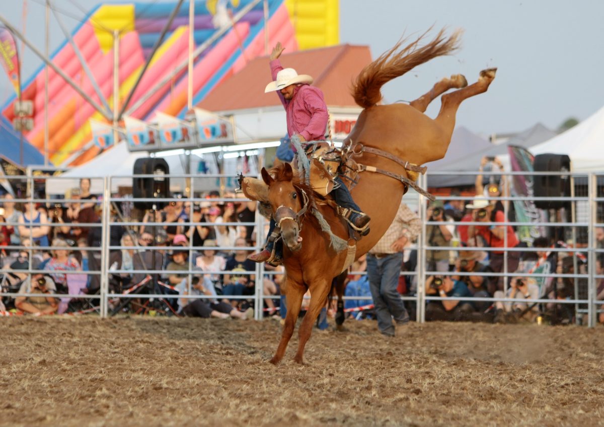Wagga pro rodeo