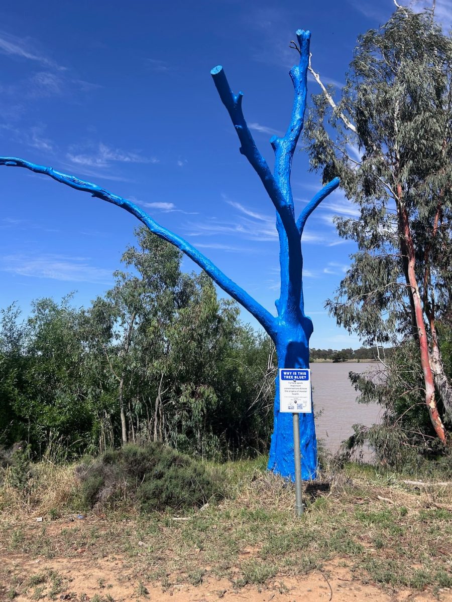 A blue tree at Temora's Lake Centenary