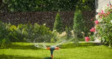 Wagga residents told to turn off sprinklers as extreme heat brings water restrictions
