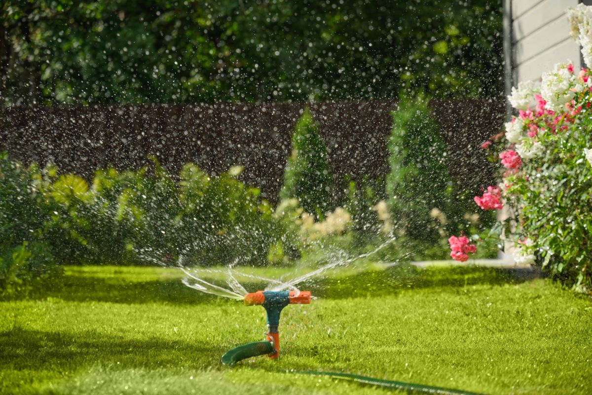 sprinkler on 