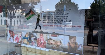 McCormack criticises controversial new Wagga shopfront display calling Israel a 'terrorist state'