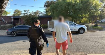 Police seize cannabis plants, cocaine and steroids from Lake Albert home