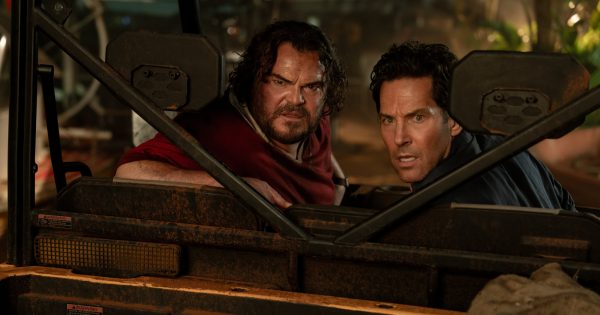 Anaconda is so stupid that it actually works