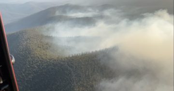 Cool change welcomed as backburning launched to control Yowrie bushfire