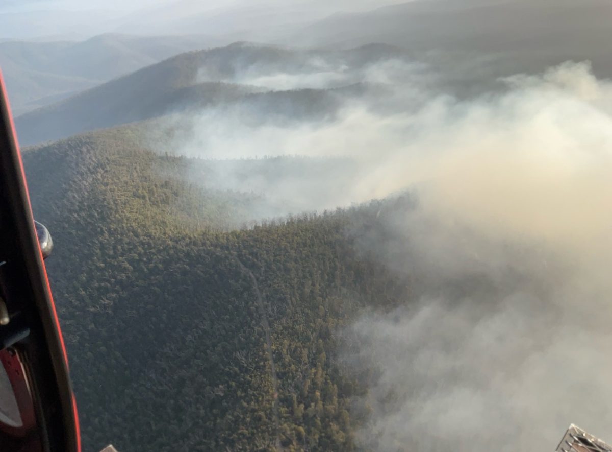 brassknocker fire trail smoke