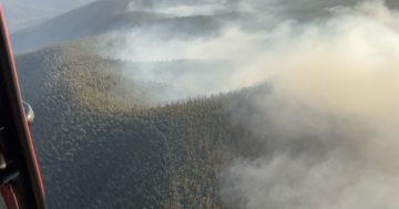 Cool change welcomed as backburning launched to control Yowrie bushfire