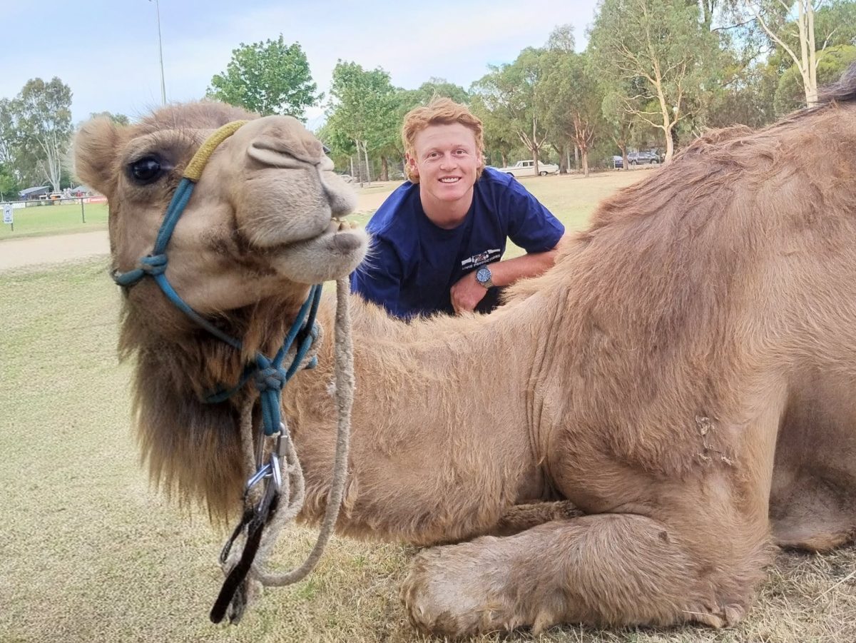 Young man with camel