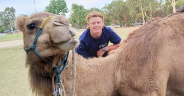 Plumber prepares his pipes for Albury's next musical theatre extravaganza