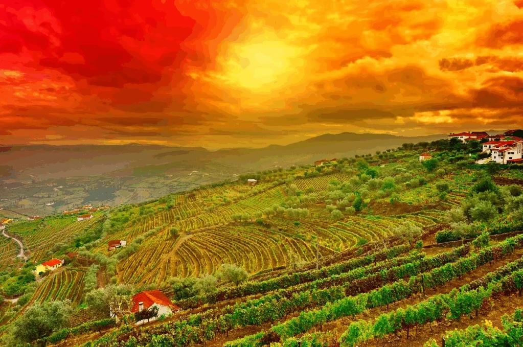 LEVEL 1 ITALIAN LANGUAGE CLASSES - TOURIST IN ITALY (4 weeks)