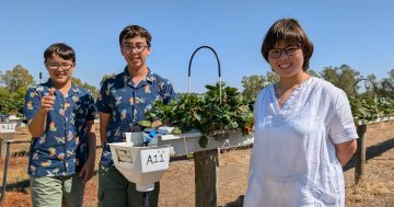 The Little Riverina Band lights up Tamworth Country Music Festival