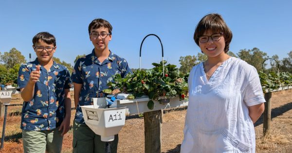 The Little Riverina Band lights up Tamworth Country Music Festival