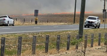 Firefighters use water bomber to contain Gobba blaze near homes