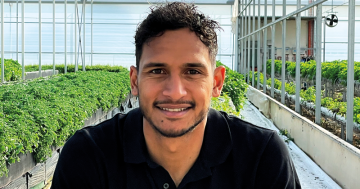 New report urges greater government protection for traditional knowledge in native food industry