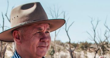 From Gundagai to the nation: Mick Veitch takes the helm at AgriFutures