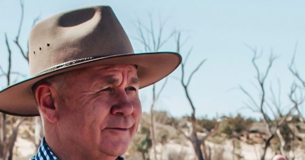 From Gundagai to the nation: Mick Veitch takes the helm at AgriFutures