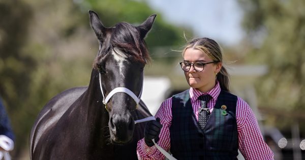 Leeton nurse and horse lover secures trifecta of Australia Day award nominations