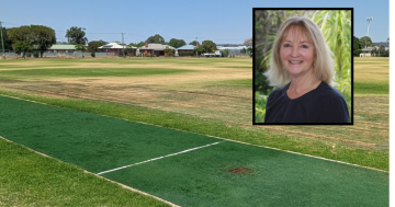 'Risks to children through heat and injury': Should Wagga say goodbye to synthetic grass pitches?