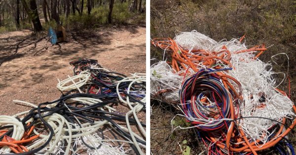 Industrial waste illegally dumped in Snowy Valleys forest