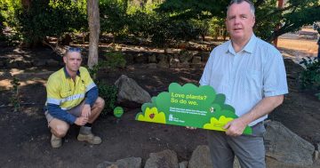 Beaten and battered: Botanic Gardens attacked by thieves and vandals