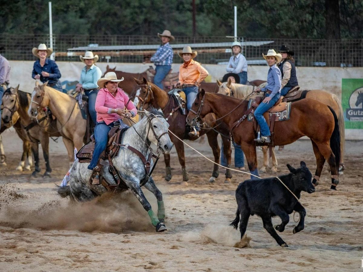 Narrandera Rodeo