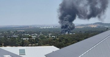 Wagga firefighters save residential buildings after nine-hour fight against wild car yard blaze