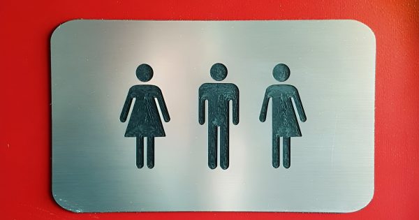 NSW Government flushes all-gender public toilet plan down the drain