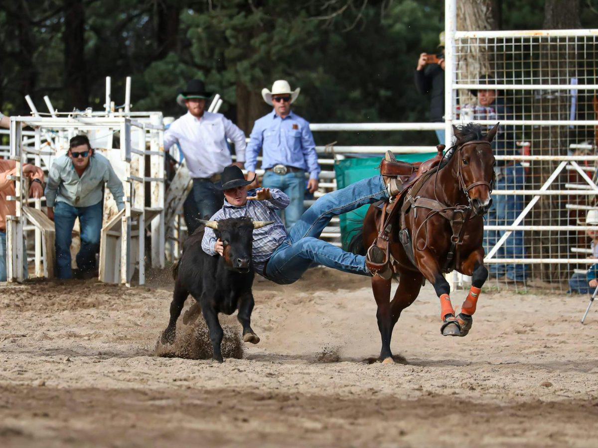 Narrandera Rodeo