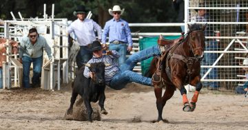 Things to do in the Riverina this week (27 February - 5 March)